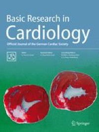 Remote Ischemic Conditioning: more explanations and more expectations