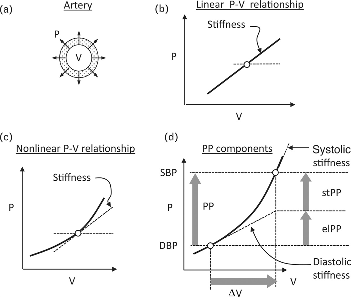 Predictive power of 24-h ambulatory pulse pressure and its components for mortality and cardiovascular outcomes in 11 848 participants recruited from 13 populations