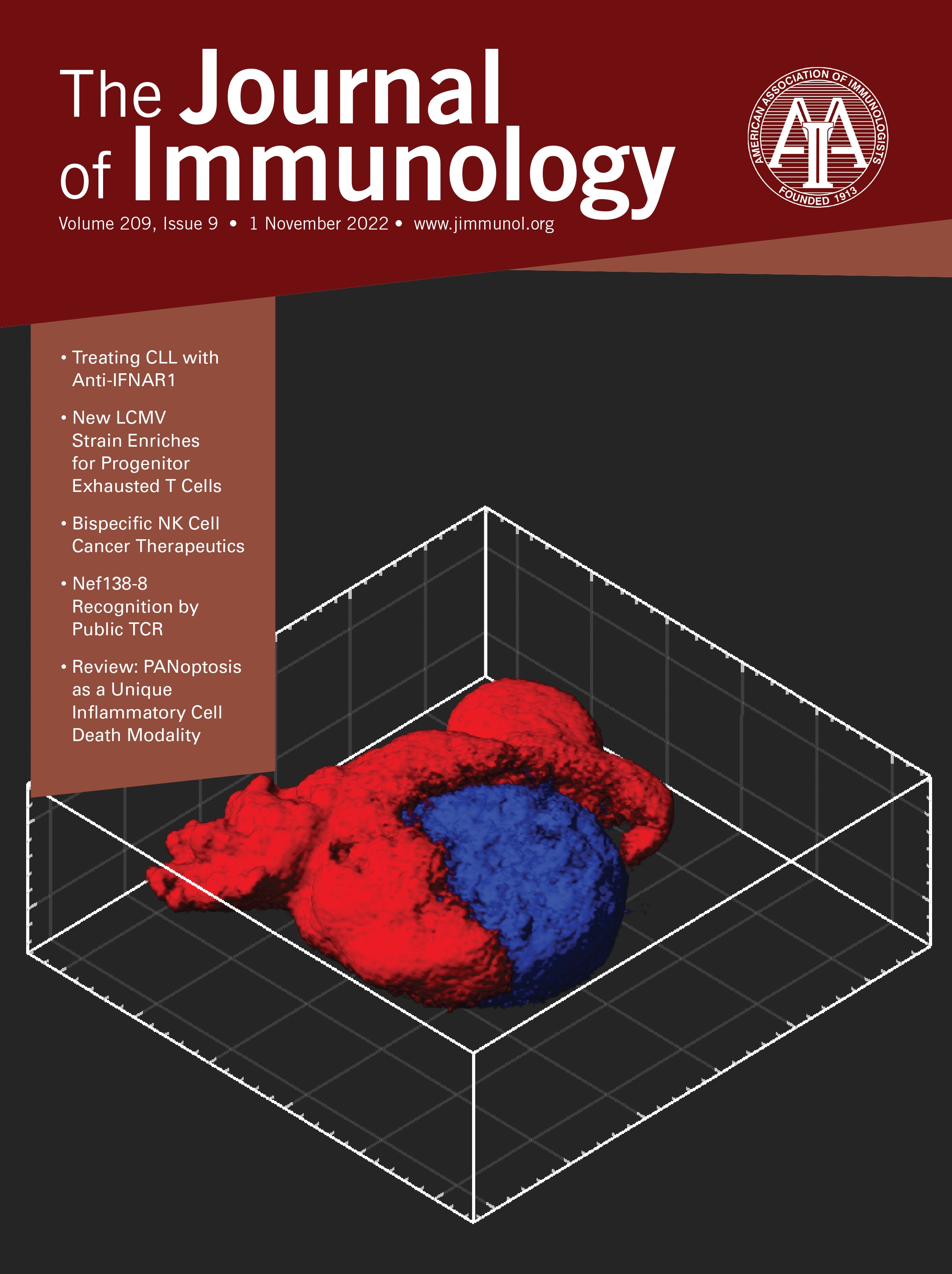 Pre-Germinal Center Interactions with T Cells Are Natural Checkpoints to Limit Autoimmune B Cell Responses [IMMUNE REGULATION]