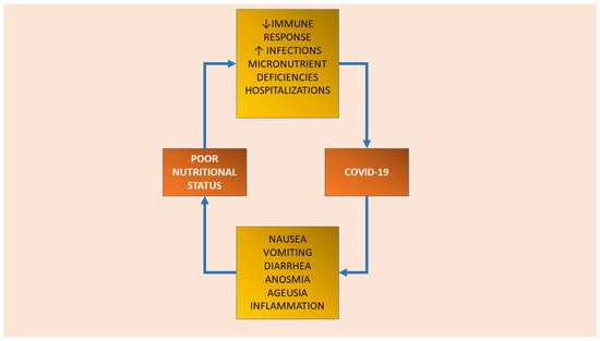 Geriatrics, Vol. 7, Pages 116: When the Pandemic Will Be Over: Lots of Hope and Some Concerns