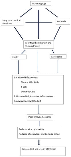 Geriatrics, Vol. 7, Pages 115: Pneumonia, Aspiration Pneumonia, or Frailty-Associated Pneumonia?