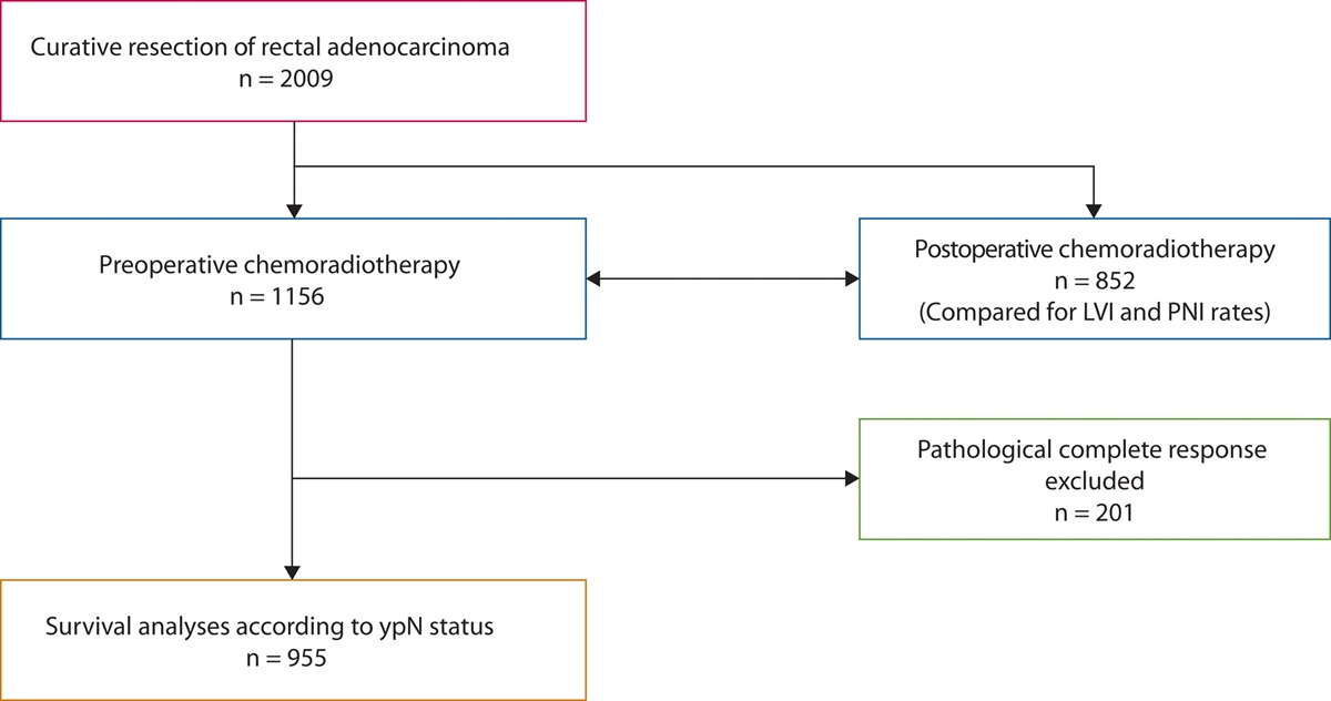 Clinical Implication of Perineural and Lymphovascular Invasion in Rectal Cancer Patients Who Underwent Surgery After Preoperative Chemoradiotherapy
