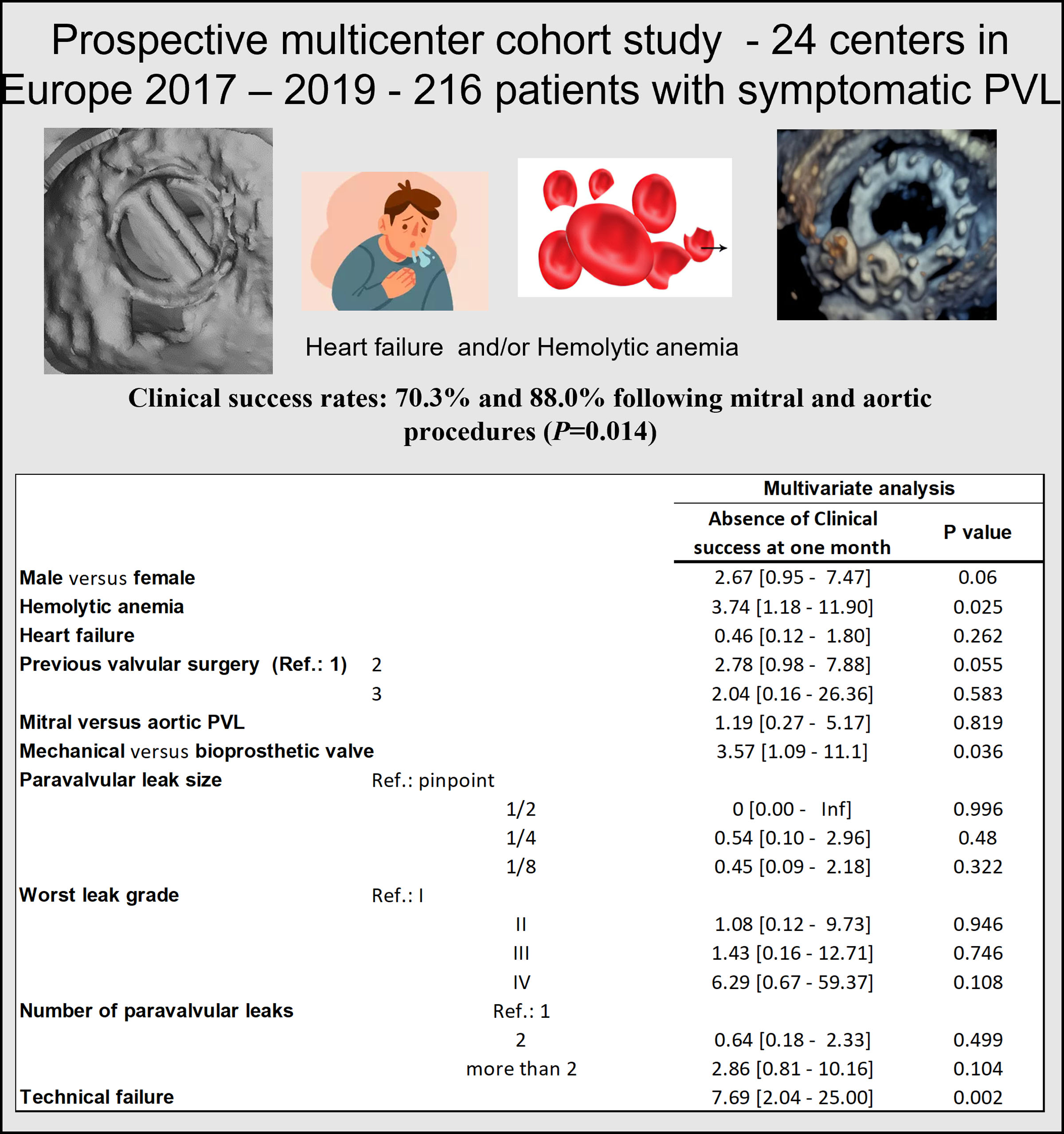 Predictors of Clinical Success After Transcatheter Paravalvular Leak Closure: An International Prospective Multicenter Registry
