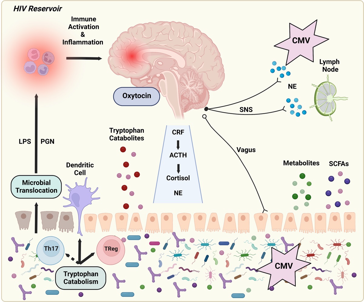 Through the Looking-Glass: Psychoneuroimmunology and the Microbiome-Gut-Brain Axis in the Modern Antiretroviral Therapy Era