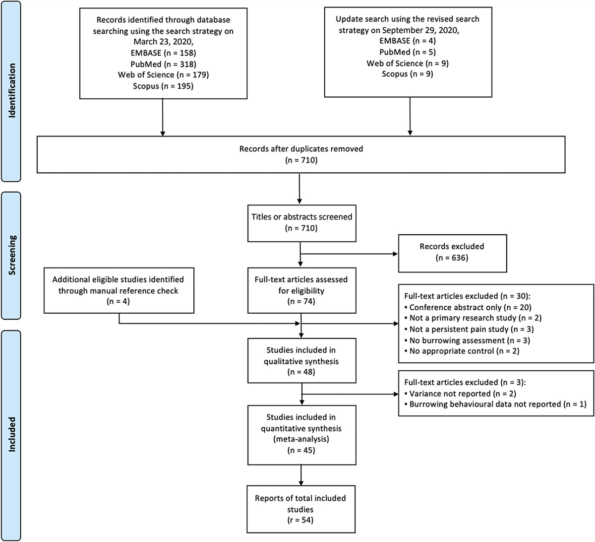 Systematic review and meta-analysis of studies in which burrowing behaviour was assessed in rodent models of disease-associated persistent pain