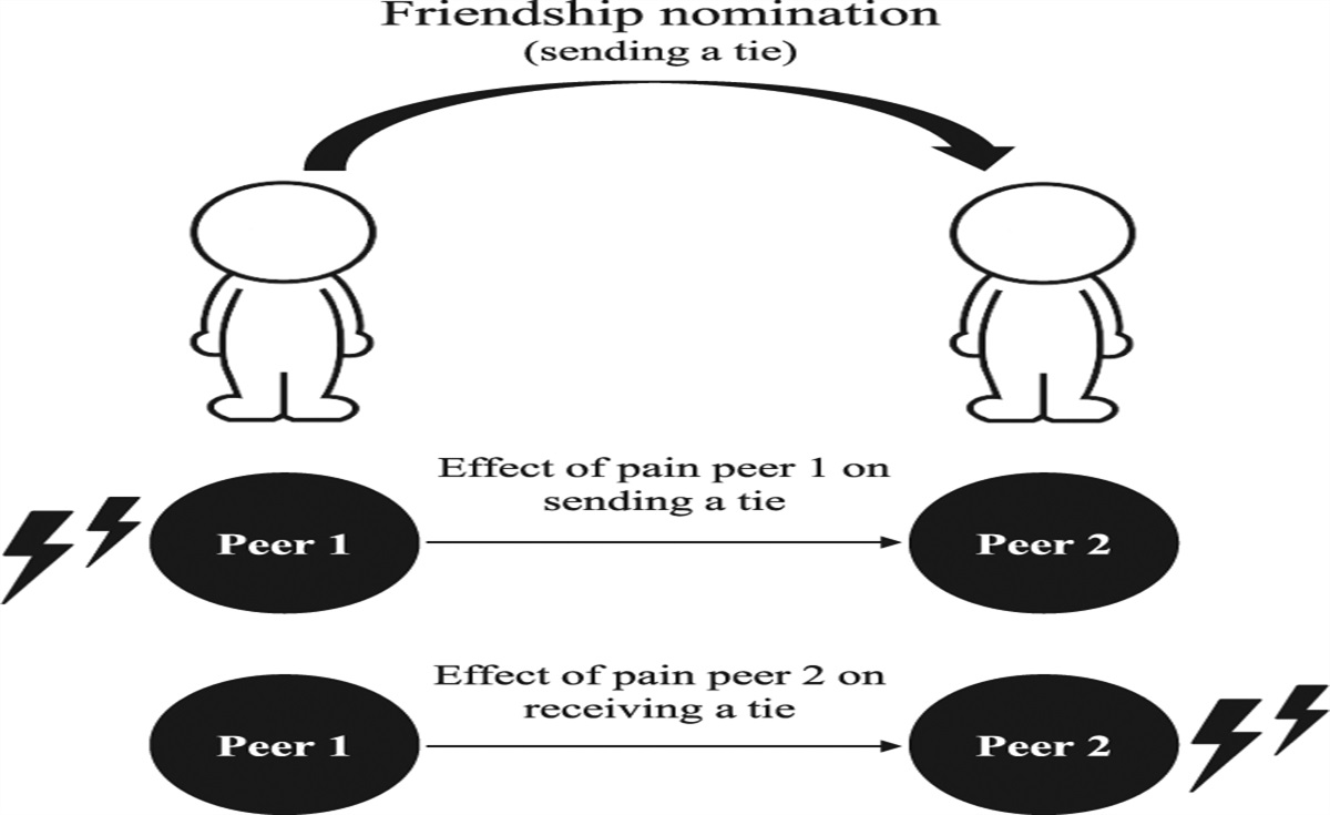 Social integration of adolescents with chronic pain: a social network analysis