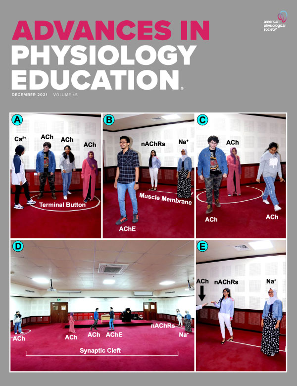 Physiology education in the Medical program at Mandume Ya Ndemufayo University: content description and critical overview