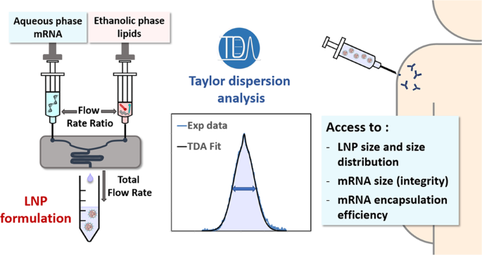 Taylor Dispersion Analysis to support lipid-nanoparticle formulations for mRNA vaccines