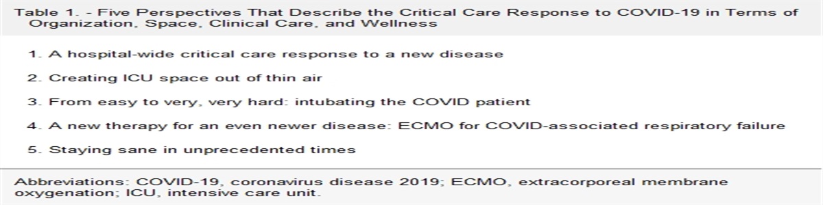 The Next Next Wave: How Critical Care Might Learn From COVID in Responding to the Next Pandemic