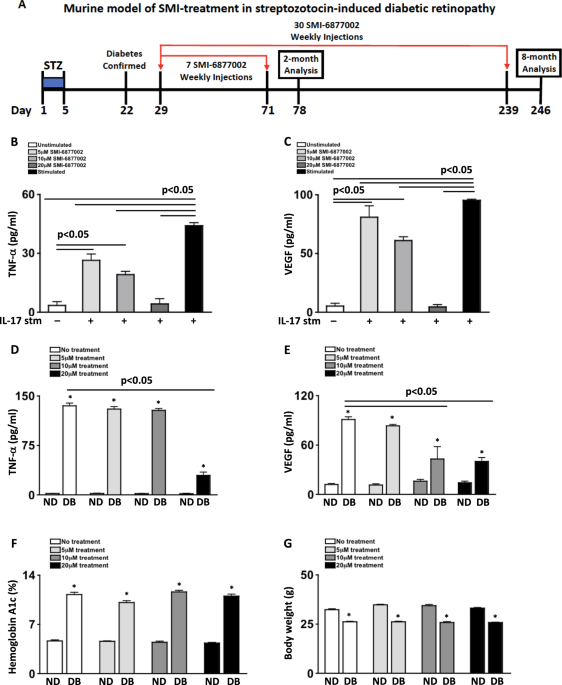 Inhibition of CD40-TRAF6-dependent inflammatory activity halts the onset of diabetic retinopathy in streptozotocin-diabetic mice