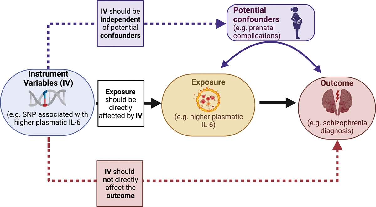 Applications of Mendelian randomization in psychiatry: a comprehensive systematic review