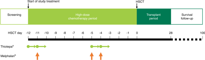 High-dose thiotepa, in conjunction with melphalan, followed by autologous hematopoietic stem cell transplantation in patients with pediatric solid tumors, including brain tumors