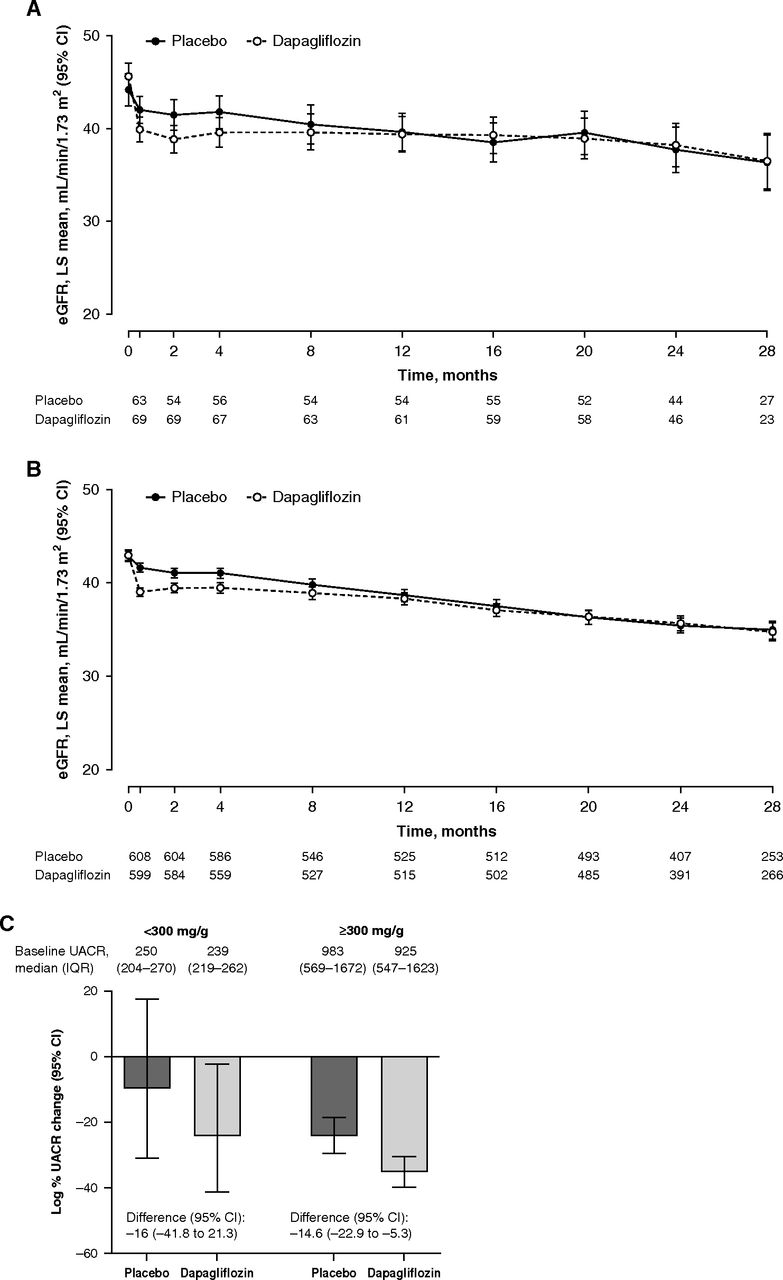 Effects of Dapagliflozin in People without Diabetes and with Microalbuminuria