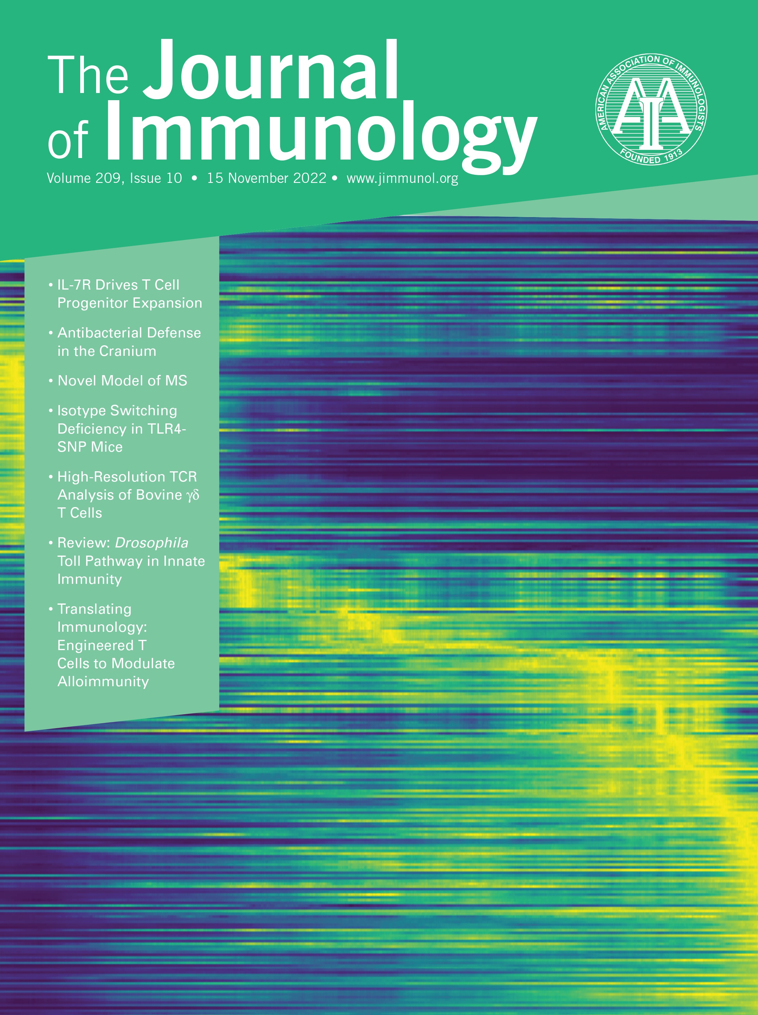Monocyte/Macrophage Heterogeneity during Skin Wound Healing in Mice [INNATE IMMUNITY AND INFLAMMATION]