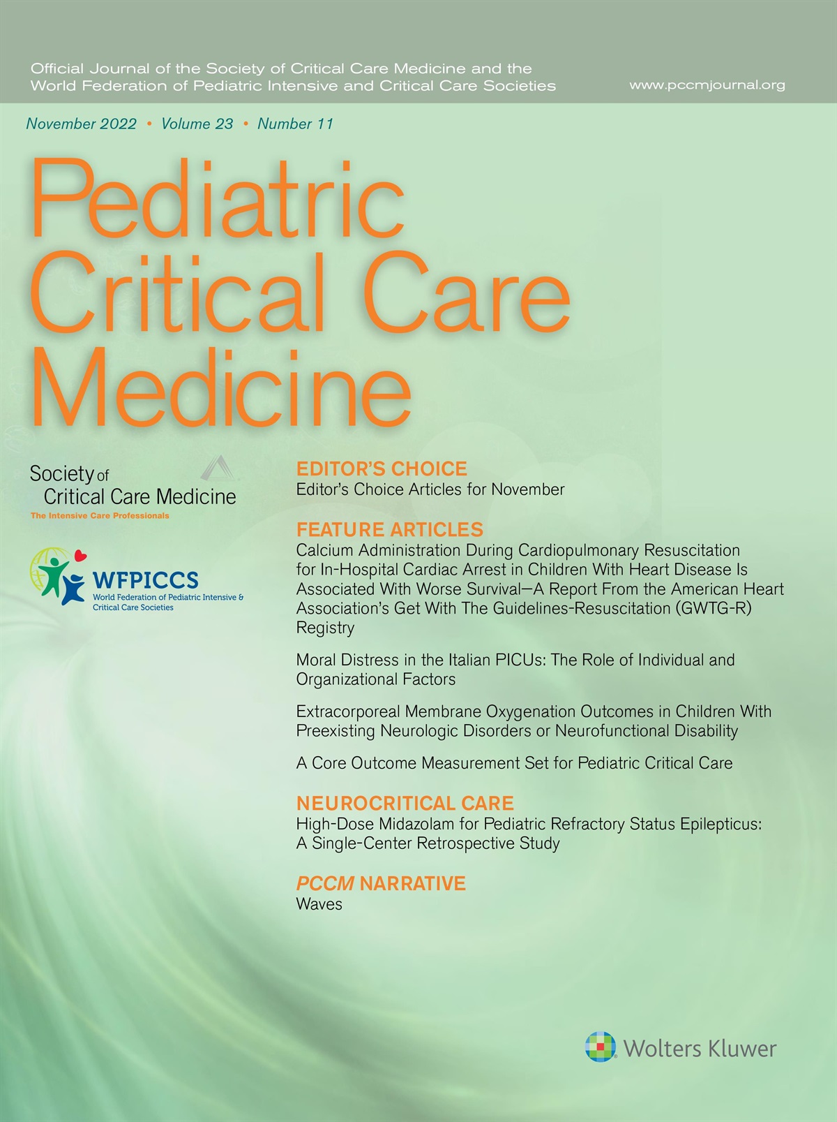 Navigating the Multiverse: Heterogeneity in Pediatric Burn Care in the United States*
