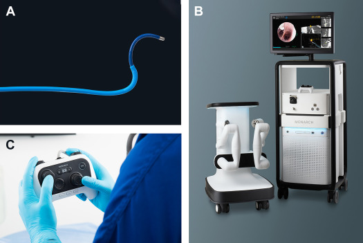 Robotic Bronchoscopy for the Diagnosis of Pulmonary Lesions