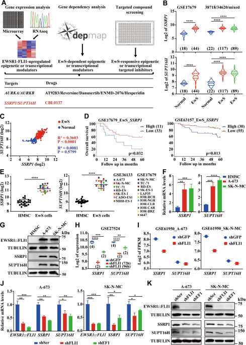Therapeutic targeting the oncogenic driver EWSR1::FLI1 in Ewing sarcoma through inhibition of the FACT complex