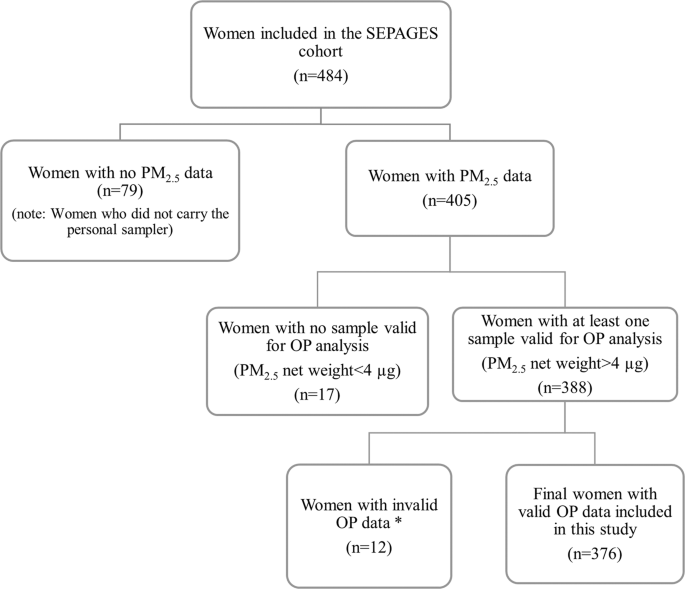 Personal exposure to PM2.5 oxidative potential and its association to birth outcomes