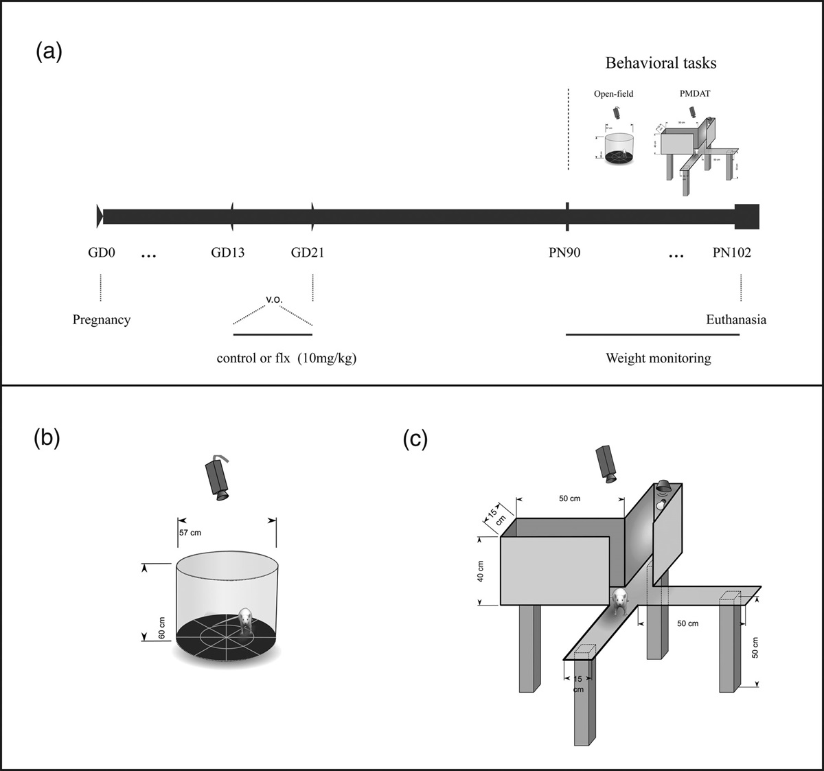 Prenatal exposure to fluoxetine modulates emotionality and aversive memory in male and female rat offspring