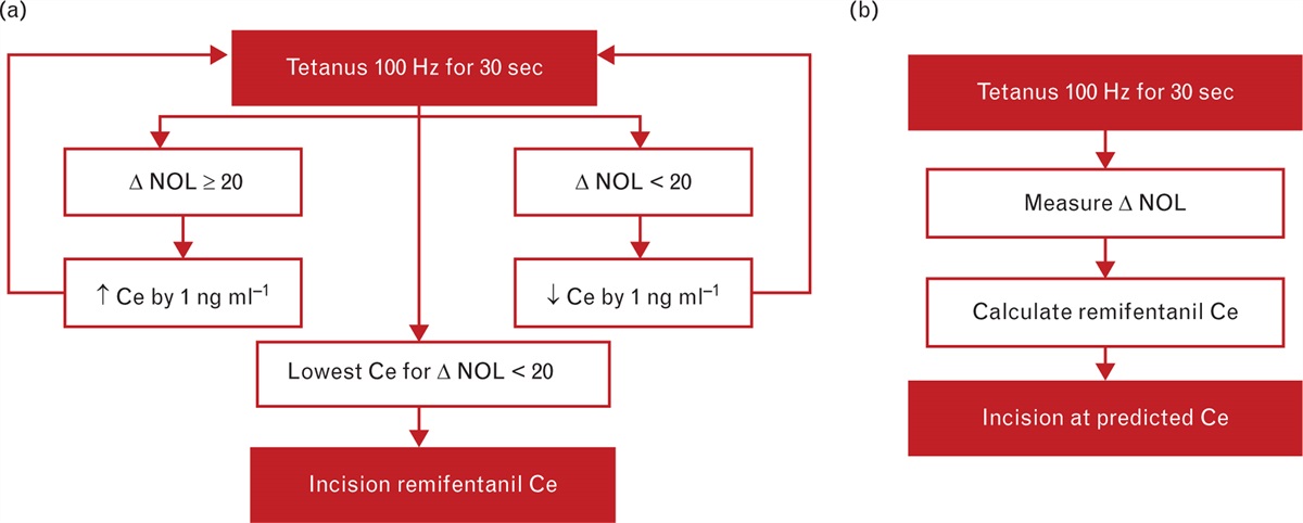 Predicting personalised remifentanil effect site concentration for surgical incision using the nociception level index: A prospective calibration and validation study