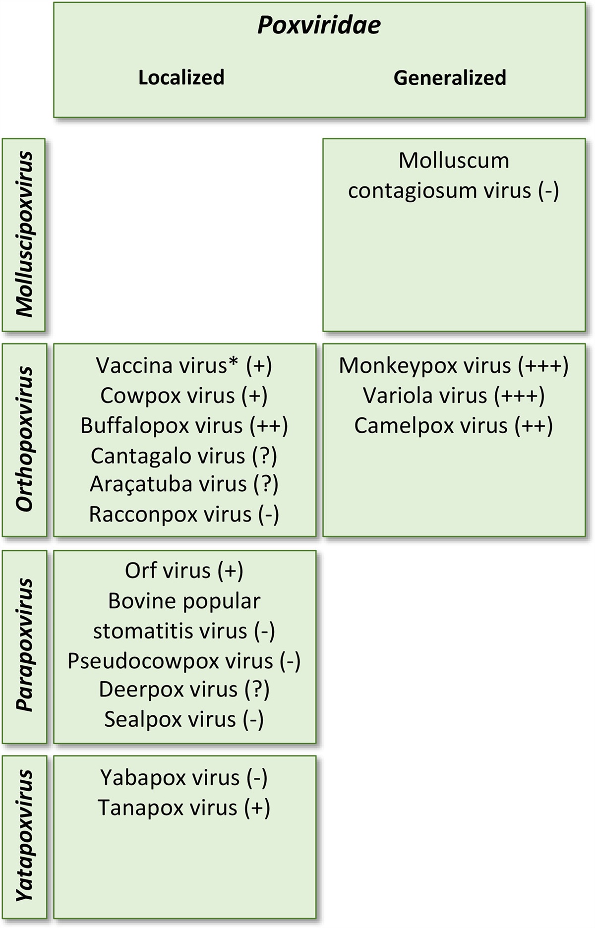 Monkeypox—What Pediatricians Need to Know