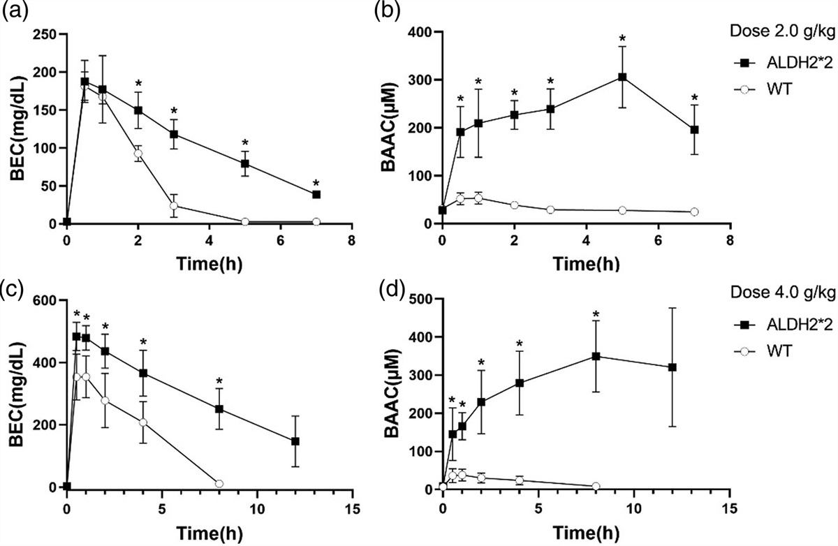 Aldehyde dehydrogenase 2–associated changes in pharmacokinetics, locomotor function and peripheral glutamic acid and gamma-aminobutyric acid levels during acute alcohol intoxication in male mice