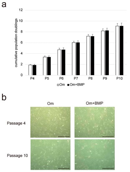 CIMB, Vol. 44, Pages 5562-5578: Human Non-Hypertrophic Nonunion Tissue Contains Osteoblast Lineage Cells and E-BMP-2 Activates Osteogenic and Chondrogenic Differentiation