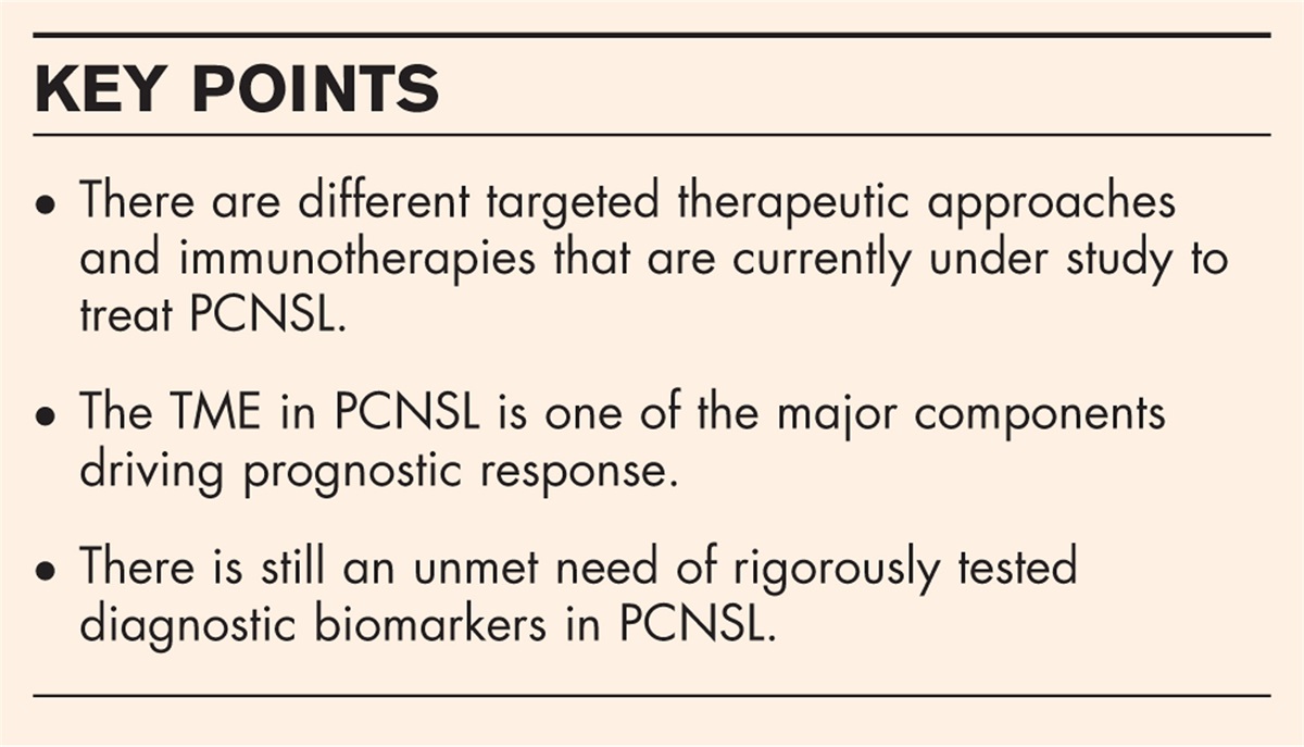 Primary central nervous system lymphoma: advances in its pathogenesis, molecular markers and targeted therapies