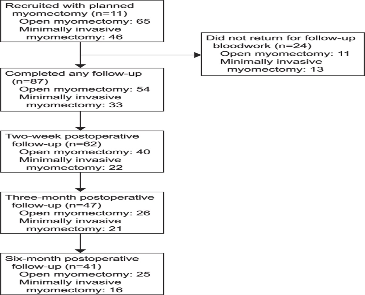 Association of Myomectomy With Anti-Müllerian Hormone Levels and Ovarian Reserve