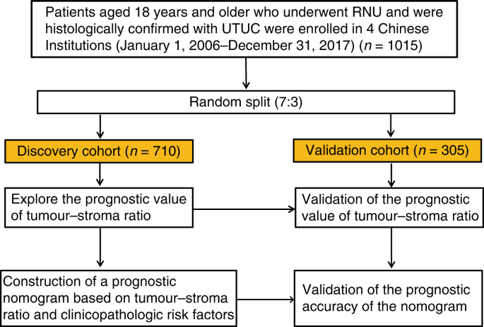 The tumour-associated stroma correlates with poor clinical outcomes and immunoevasive contexture in patients with upper tract urothelial carcinoma: results from a multicenter real-world study (TSU-01 Study)