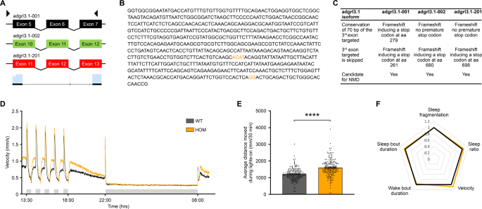 Novel non-stimulants rescue hyperactive phenotype in an adgrl3.1 mutant zebrafish model of ADHD