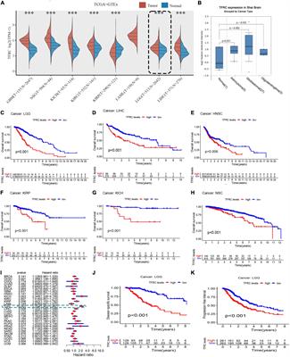 Identification and validation of transferrin receptor protein 1 for predicting prognosis and immune infiltration in lower grade glioma
