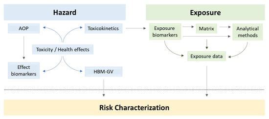 Toxins, Vol. 14, Pages 826: Current Advances, Research Needs and Gaps in Mycotoxins Biomonitoring under the HBM4EU—Lessons Learned and Future Trends