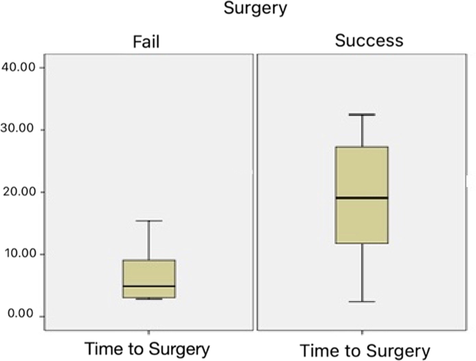 Evaluation of the factors that influence surgical outcome in conjunctival-limbal allograft transplantation