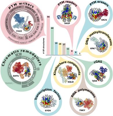 Nucleosomes and their complexes in the cryoEM era: Trends and limitations