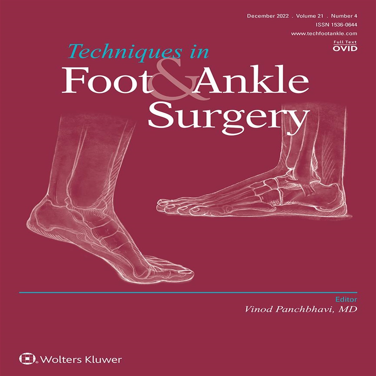 Chronic Ankle Instability: Updated Concepts and Modern Approaches to Treatment