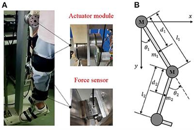 A triple-step controller with linear active disturbance rejection control for a lower limb rehabilitation robot