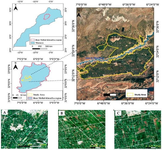 J. Imaging, Vol. 8, Pages 316: Rapid and Automated Approach for Early Crop Mapping Using Sentinel-1 and Sentinel-2 on Google Earth Engine; A Case of a Highly Heterogeneous and Fragmented Agricultural Region
