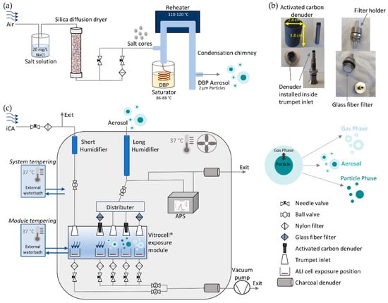 Toxics, Vol. 10, Pages 730: Construction of an In Vitro Air–Liquid Interface Exposure System to Assess the Toxicological Impact of Gas and Particle Phase of Semi-Volatile Organic Compounds