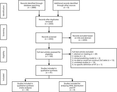 The association between the severity and distribution of white matter lesions and hemorrhagic transformation after ischemic stroke: A systematic review and meta-analysis