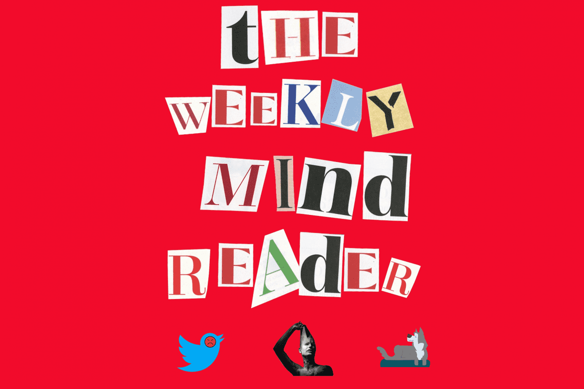 Weekly Mind Reader: Twitter Risks, Suicide Nightmares, Dog Dementia