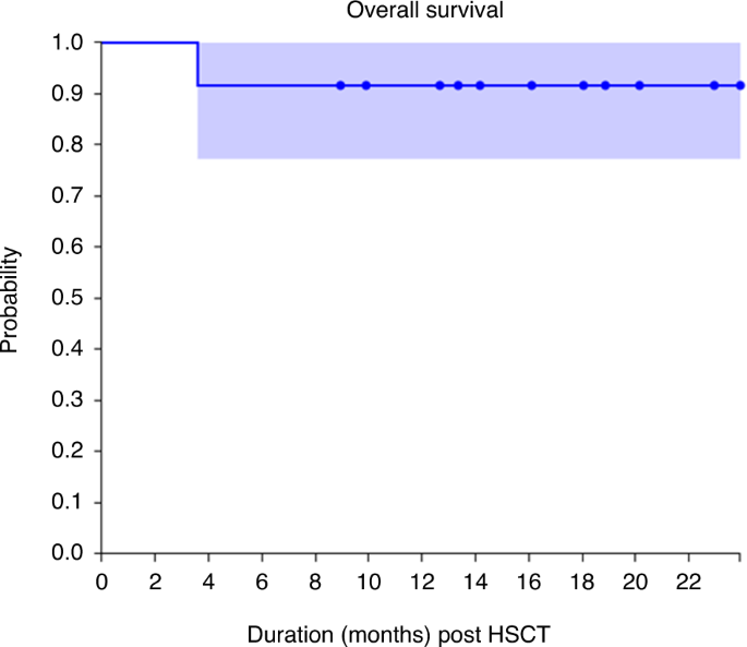 Thiotepa-based reduced toxicity conditioning in combination with post-transplant cyclophosphamide and mTOR inhibitor for heavily transfused acquired severe aplastic anemia in children and young adults: encouraging outcomes of a pilot study