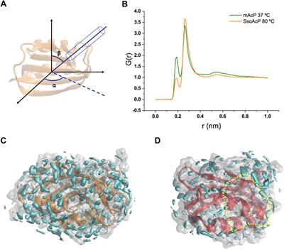 Thermal tuning of protein hydration in a hyperthermophilic enzyme