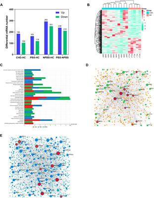 Exploring the “gene–protein–metabolite” network of coronary heart disease with phlegm and blood stasis syndrome by integrated multi-omics strategy