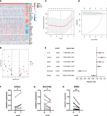 Development of a copper metabolism-related gene signature in lung adenocarcinoma