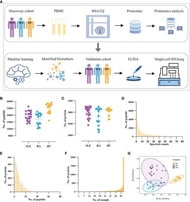 Combined proteomics and single cell RNA-sequencing analysis to identify biomarkers of disease diagnosis and disease exacerbation for systemic lupus erythematosus