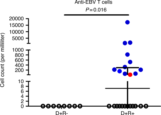 Lack of both donor and recipient anti-EBV T cells in EBV seronegative recipients of grafts from seropositive donors