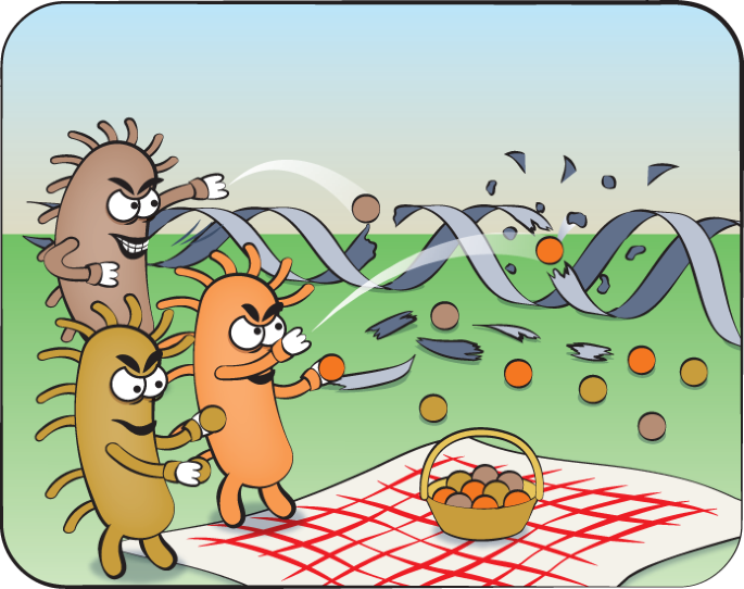 Gut microbes produce novel genotoxic metabolites
