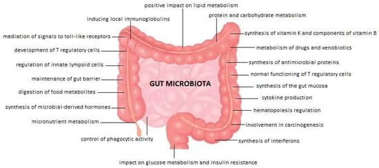Medicina, Vol. 58, Pages 1760: Gut–Lung Microbiota Interaction in COPD Patients: A Literature Review