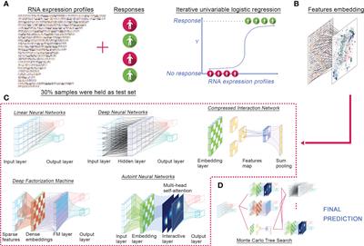 Ensemble deep learning enhanced with self-attention for predicting immunotherapeutic responses to cancers